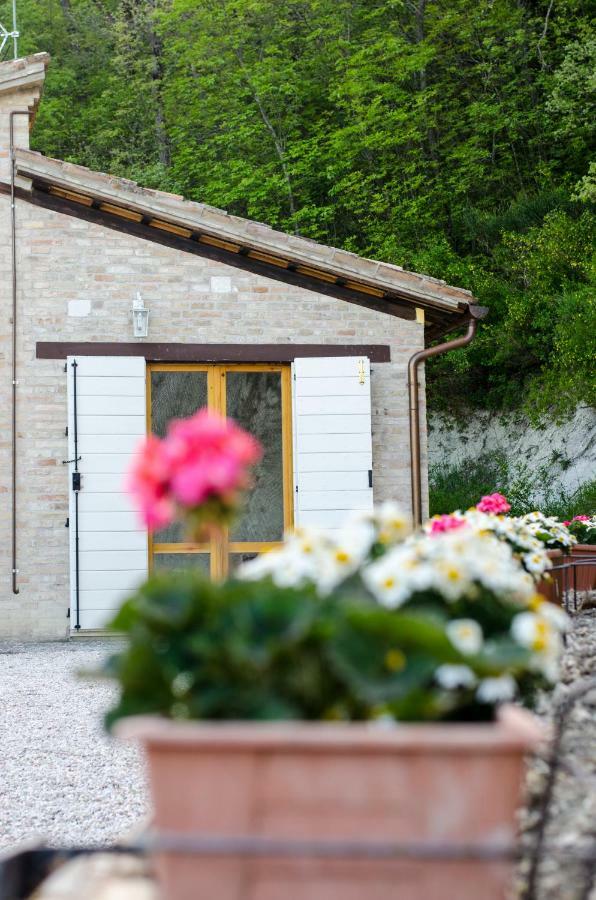 Calmancino Delle Selve Bed & Breakfast Урбино Екстериор снимка