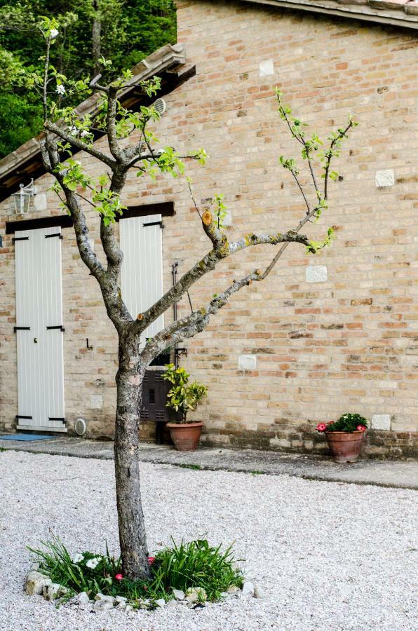 Calmancino Delle Selve Bed & Breakfast Урбино Екстериор снимка