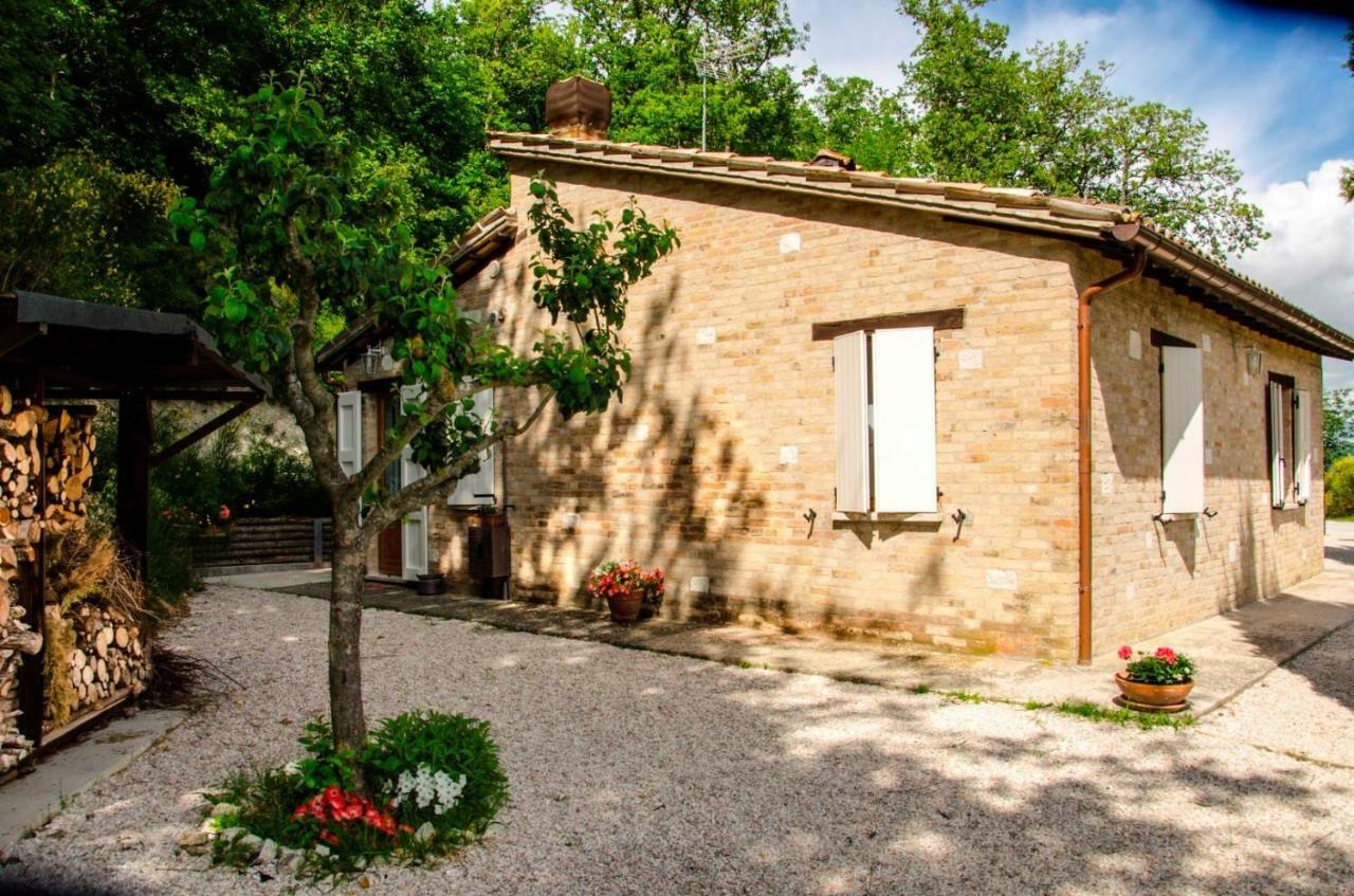 Calmancino Delle Selve Bed & Breakfast Урбино Екстериор снимка