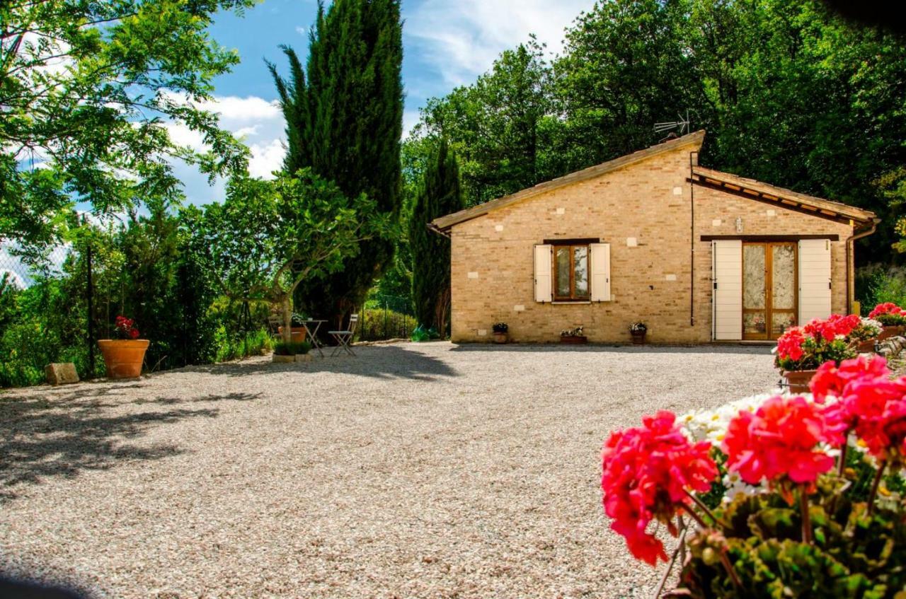Calmancino Delle Selve Bed & Breakfast Урбино Екстериор снимка