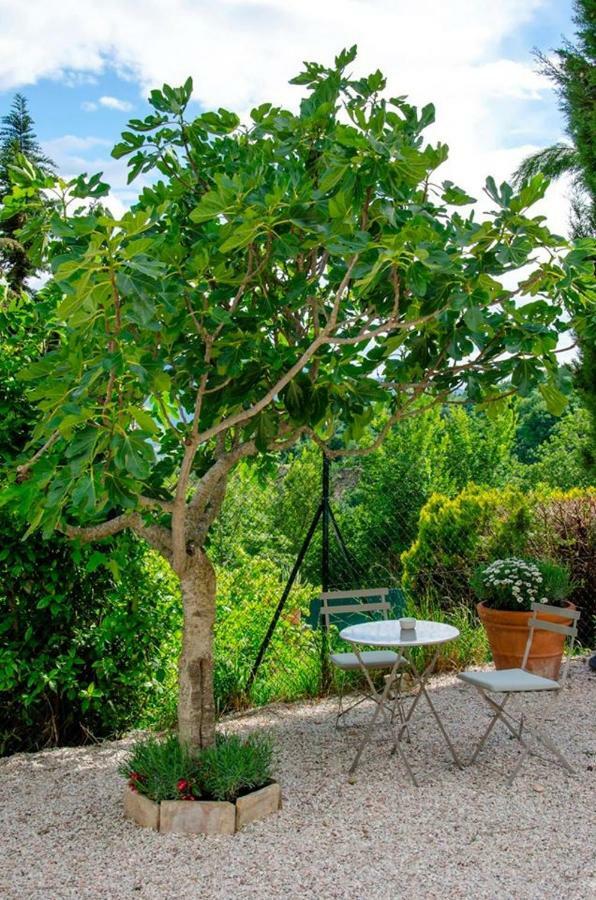 Calmancino Delle Selve Bed & Breakfast Урбино Екстериор снимка