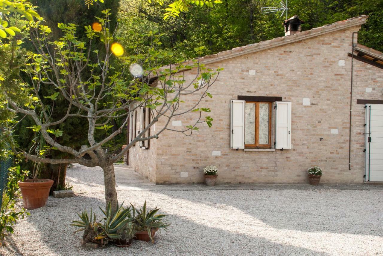 Calmancino Delle Selve Bed & Breakfast Урбино Екстериор снимка